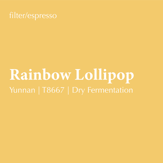 Rainbow Lollipop - Yunnan